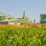 What is meant by cogeneration?