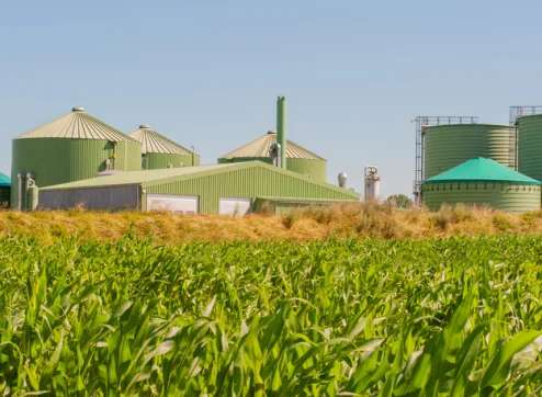 What is meant by cogeneration?