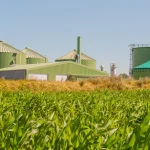 Alles was man über Kraft-Wärme-Kopplung wissen muss: Der Guide für maximale Effizienz