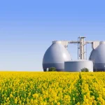 Die Vor- und Nachteile von Biogas: Eine detaillierte Analyse