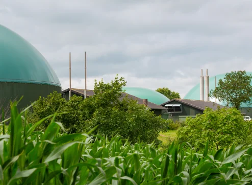 what is biogas? powerup