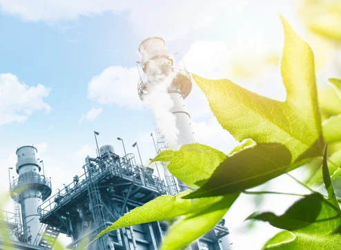 Where is natural gas found?