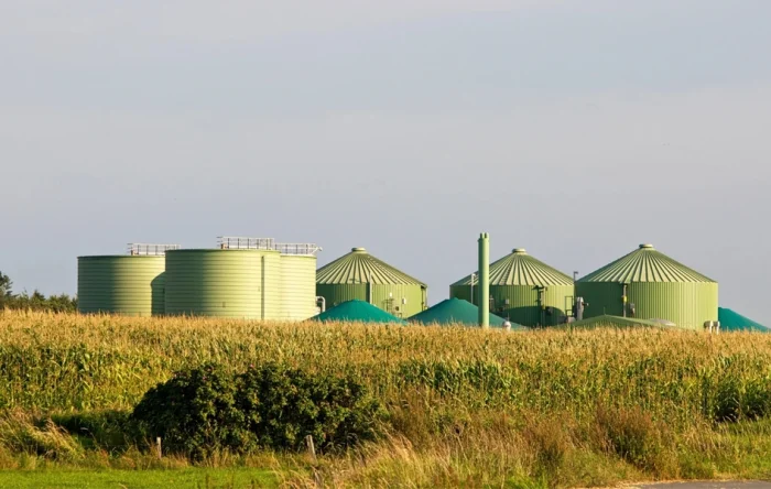 Wie entsteht Biogas?