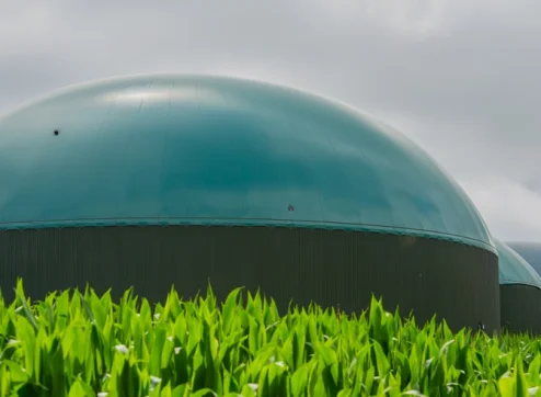 Nebenprodukte von Biogasanlagen und ihre Anwendungen