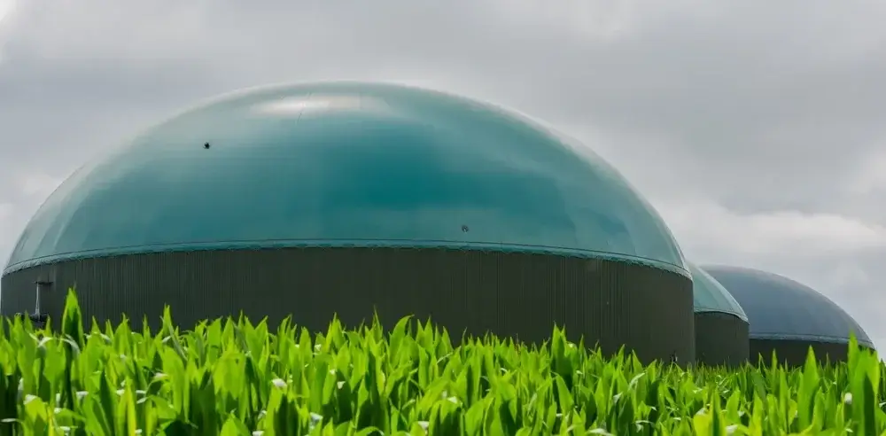 Nebenprodukte von Biogasanlagen und ihre Anwendungen