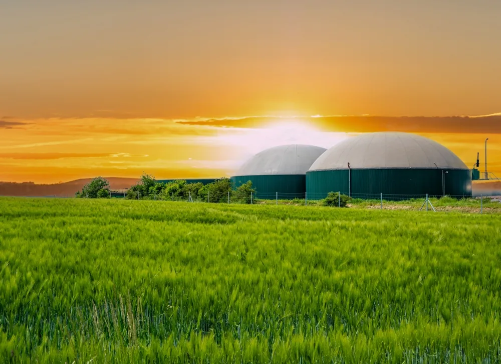 Biogasanlagen – was Sie darüber wissen sollten