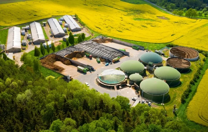 What is the difference between biogas and natural gas?