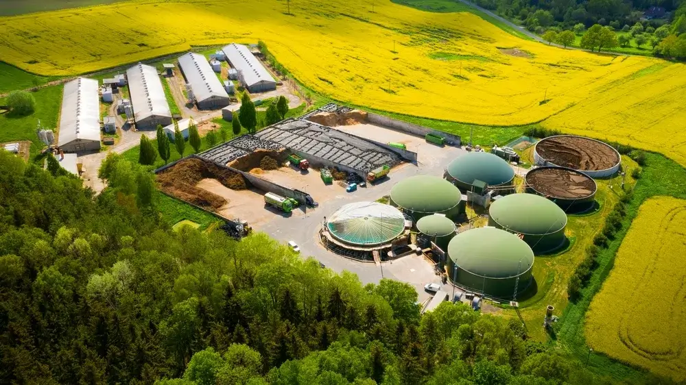 What is the difference between biogas and natural gas?