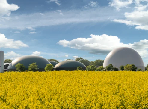 Biogasanlagen entschlüsselt: Die Hauptkomponenten und ihre Bedeutung