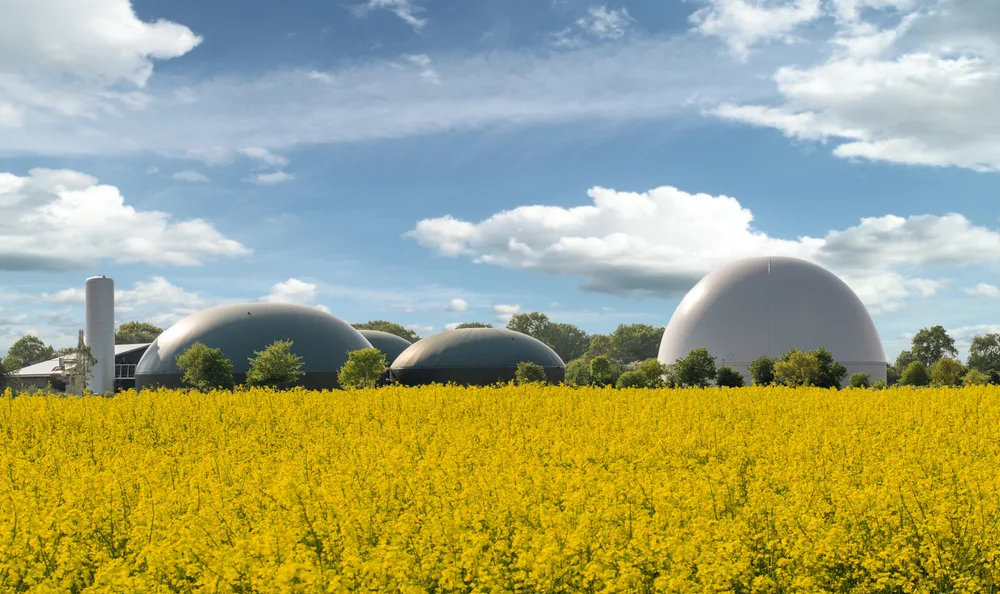 Biogasanlagen entschlüsselt: Die Hauptkomponenten und ihre Bedeutung