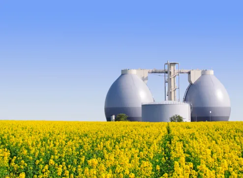 The Pros and Cons of Biogas: A Comprehensive Examination