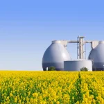 Die Vor- und Nachteile von Biogas: Eine umfassende Betrachtung