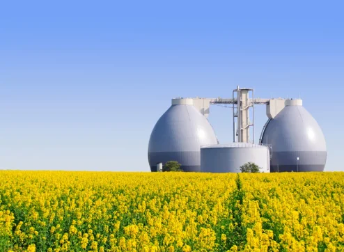Pros and Cons of Biogas