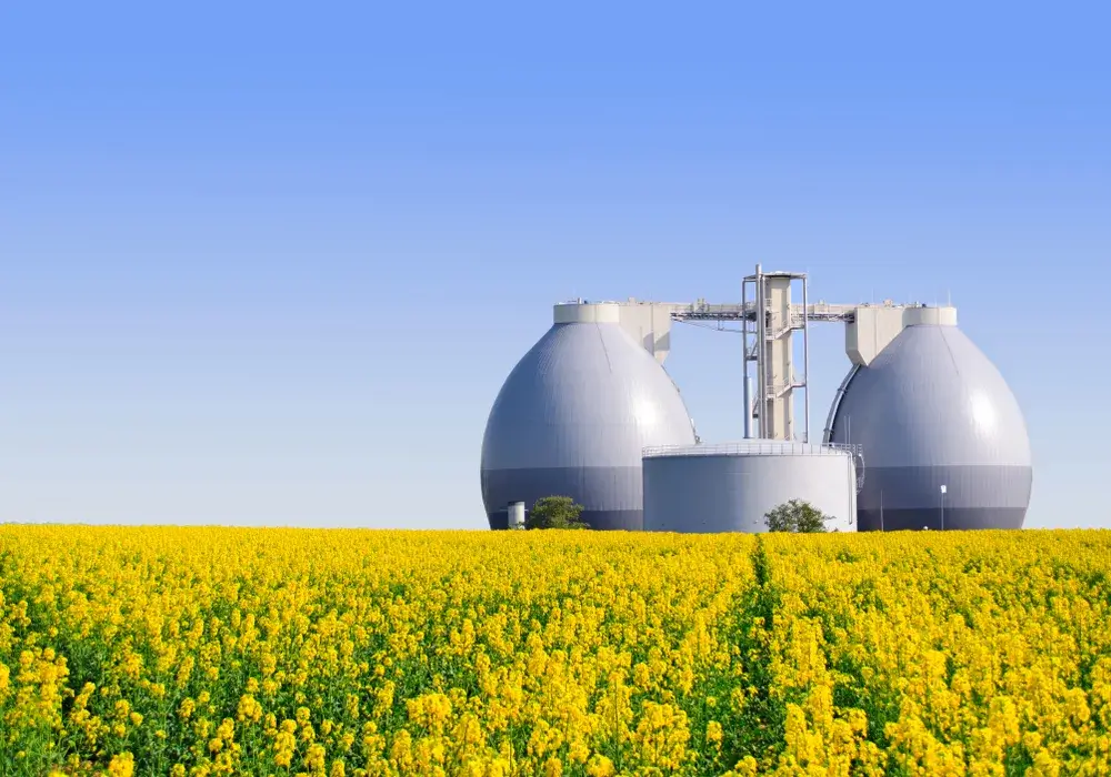 The Pros and Cons of Biogas: A Comprehensive Examination